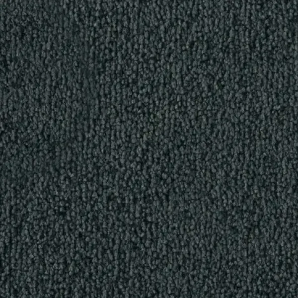 Vorwerk Safira Teppichboden Farbcode 4H79 – Draufsicht ohne Etikett